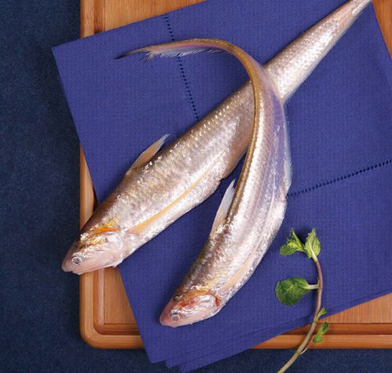 長(zhǎng)江刀魚(yú)面臨禁捕危機(jī)，價(jià)格暴漲達(dá)4000元一斤