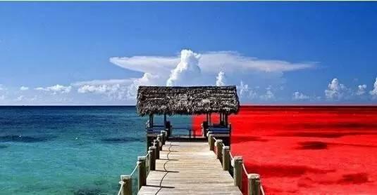 火鍋紅海里還能怎么深扒藍(lán)海區(qū)域？|餐飲界