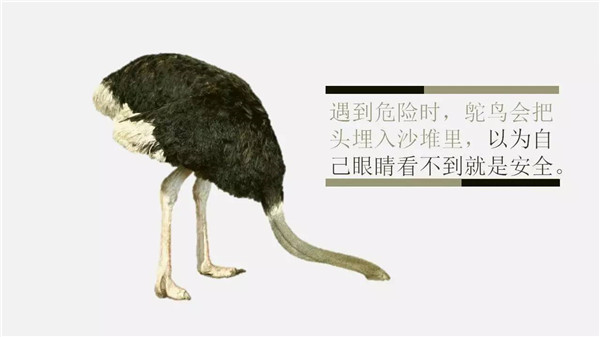 這6個詞，你誤解了任何一個，都能讓你錯過“風口”