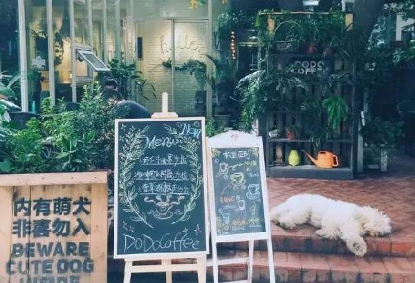 如何開家能賺錢的咖啡館？過來人是這樣算帳的...|餐飲界
