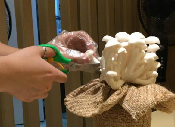 餐飲三巨頭的“爆品”玄機，其實就是4個字|餐飲界