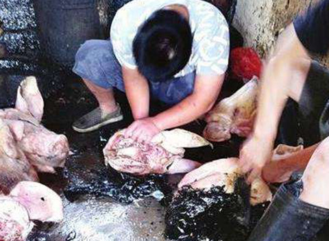 黑作坊肉流入北京市場 食藥監(jiān)局啟動(dòng)調(diào)查