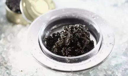 魚子醬到底有多少種？餐飲人快來辨別一下