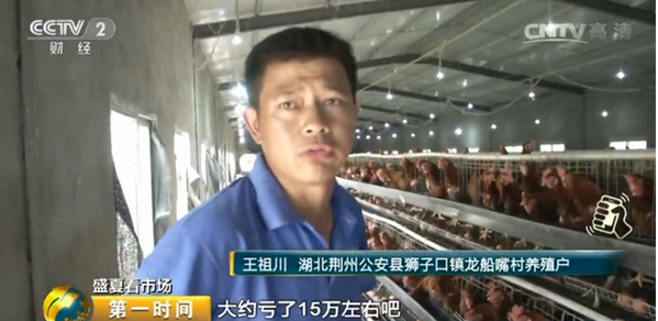 雞蛋價格跌跌不休！最低腰斬一半