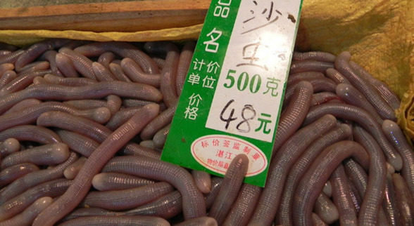 ?？谝徊蛷d沙蟲(chóng)被食客質(zhì)疑不干凈 食藥監(jiān)：沒(méi)毛病
