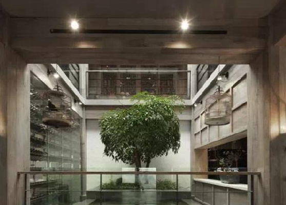 餐廳運用上這些植物裝飾，格調空間立馬不同