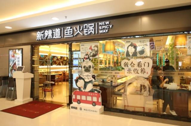 破局傳統(tǒng)營銷思維，看新辣道如何跨界&借勢瘋狂圈粉？ | 案例