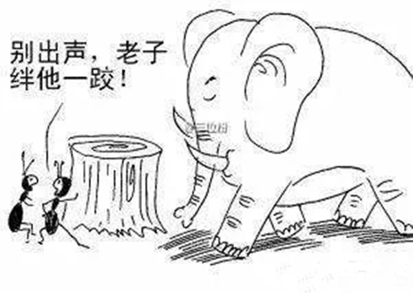 火鍋老板必看：與巴奴共舞的3個(gè)戰(zhàn)略機(jī)會(huì)！