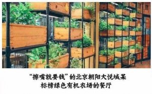 但凡說(shuō)紙巾要2元的餐廳，我不會(huì)去第二次！|餐飲界