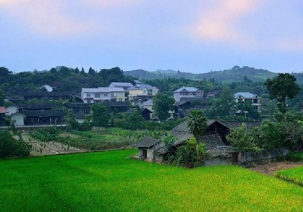 城市水太深，回鄉(xiāng)開餐廳？看完這篇你再做決定……