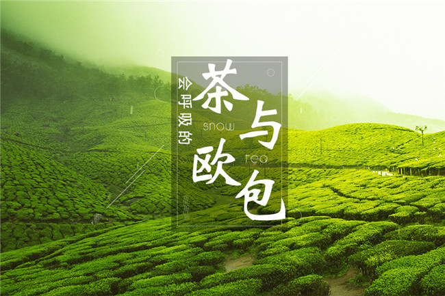9個月開600家店，漫雪的茶憑啥攻占全國市場？|餐飲界