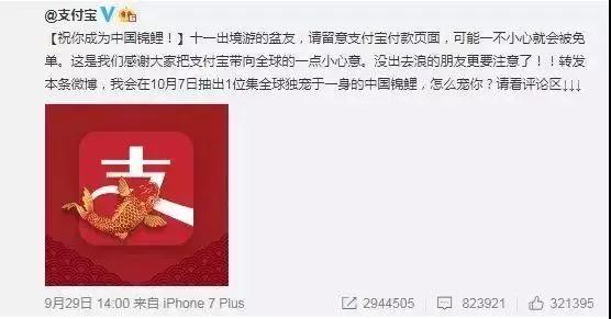 “錦鯉”火了，為什么我不建議跟風(fēng)蹭這個大熱點？