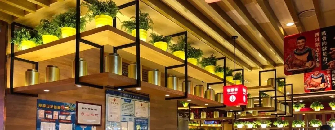 爆西貝、老鄉(xiāng)雞抗不過3個月，疫情之下餐企該何去何從？