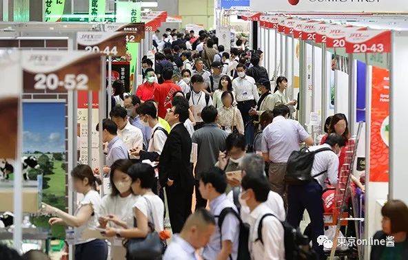江西天凱樂首秀日本國際食品展，椰子灰冰淇淋榮獲JFEX AWARDS金獎(jiǎng)！