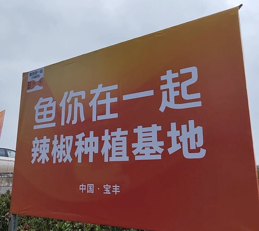 魚你在一起榮獲兩項(xiàng)大獎(jiǎng)，展現(xiàn)新質(zhì)生產(chǎn)力下的雇主品牌變革