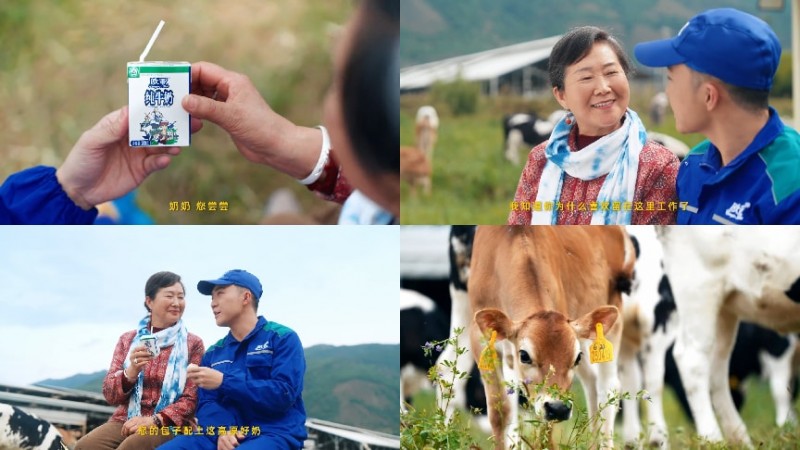 拒絕做系統(tǒng)的“牛馬”，去云南做個(gè)“牧云人”：歐亞牛奶如何治愈都市人的精神內(nèi)耗？